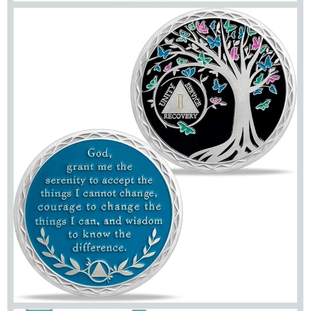 🔥11 Year AA Sobriety Coin Serenity Prayer Silver Tree of Life with Butterflies
